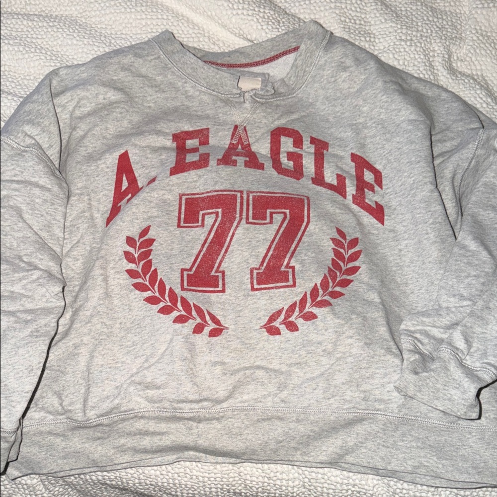 American Eagle Outfitters Gray and Red Sweatshirt